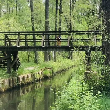 Spreewaldhaus Raddusch, Boote- Fahrraeder Gratis Dom wakacyjny *