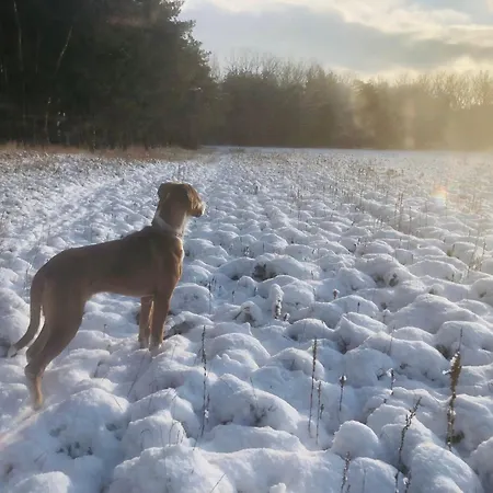 Spreewaldhaus Raddusch, Boote- Fahrraeder Gratis *