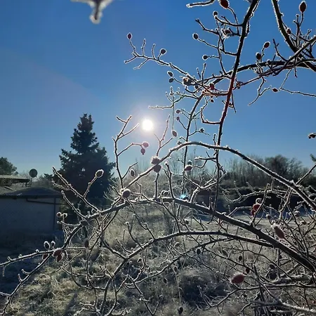 Spreewaldhaus Raddusch, Boote- Fahrraeder Gratis Сasa de vacaciones *