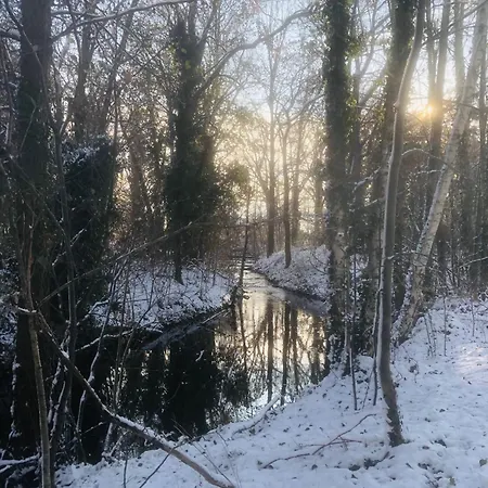 Spreewaldhaus Raddusch, Boote- Fahrraeder Gratis