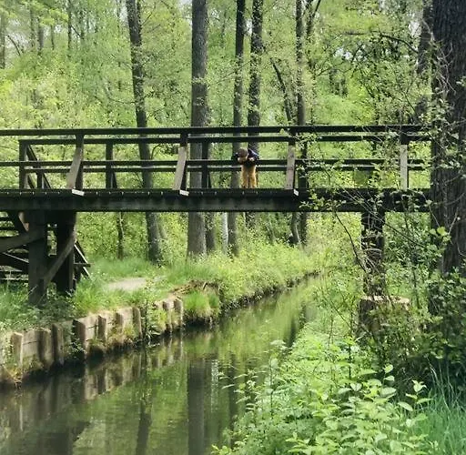 Spreewaldhaus Raddusch, Boote- Fahrraeder Gratis Casa vacanze *