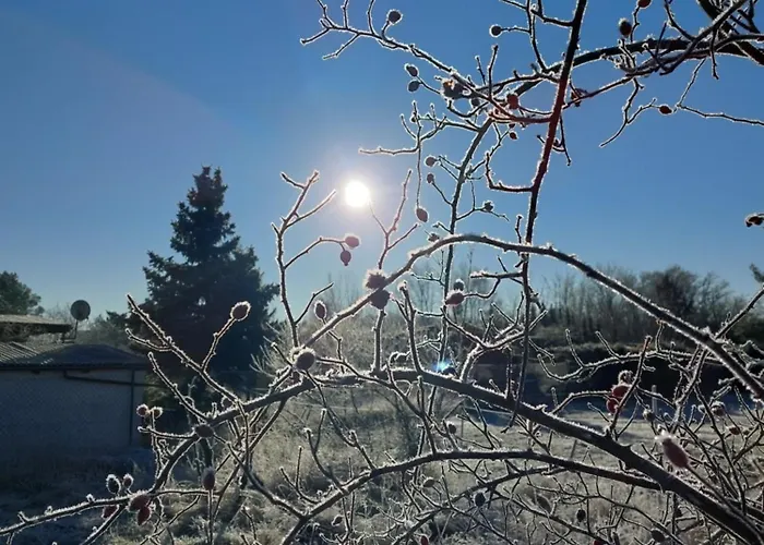 Spreewaldhaus Raddusch, Boote- Fahrraeder Gratis בית נופש *