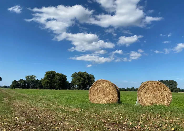Spreewaldhaus Raddusch, Boote- Fahrraeder Gratis בית נופש *