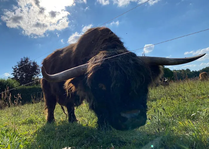 בית נופש Spreewaldhaus Raddusch, Boote- Fahrraeder Gratis *