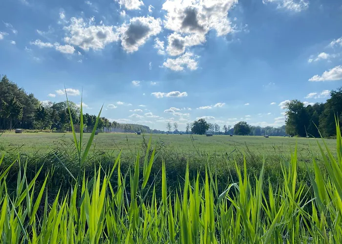 Spreewaldhaus Raddusch, Boote- Fahrraeder Gratis בית נופש *